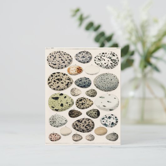 FLATCARD MIT VINTAGEN "VÖGELN"-EIERN (Stehend Vorderseite)