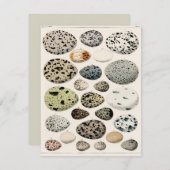 FLATCARD MIT VINTAGEN "VÖGELN"-EIERN (Vorne/Hinten)