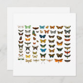 FLATCARD: VINTAGE SCHALTFLÄCHE (Vorne/Hinten)