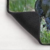 Flatcoated Retriever mit Ente Mousepad (Ecke)