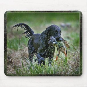 Flatcoated Retriever mit Ente Mousepad