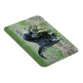 Flatcoated Retriever mit Entenmagnet Magnet (Rechte Seite)