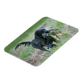 Flatcoated Retriever mit Entenmagnet Magnet (Linke Seite)