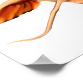 Flathead Catfish Poster (Ecke)