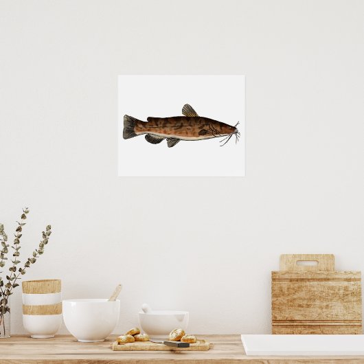 Flathead Catfish Poster (Küche)
