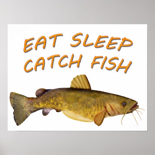 Flathead Catfish Poster (Vorne)