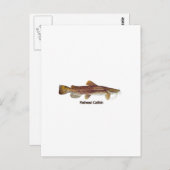 Flathead Catfish Postkarte (Vorne/Hinten)