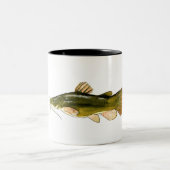 Flathead Catfish Tasse | TASSE (Mittel)