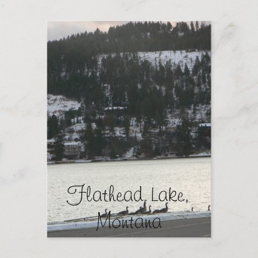 Flathead Lake , Montana Postkarte (Vorderseite)