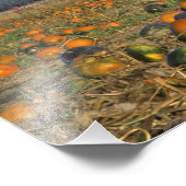 Flathead Valley Montana Pumpkin Patch Fotodruck (Ecke)