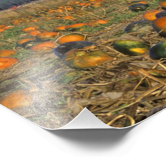 Flathead Valley Montana Pumpkin Patch Fotodruck (Ecke)