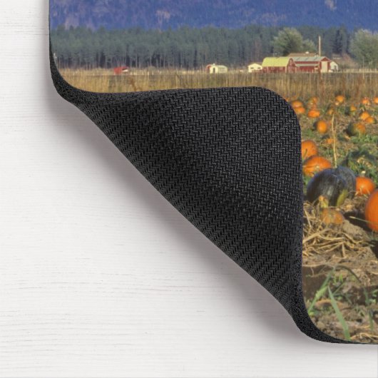 Flathead Valley Montana Pumpkin Patch Mousepad (Ecke)