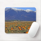 Flathead Valley Montana Pumpkin Patch Mousepad (Mit Mouse)