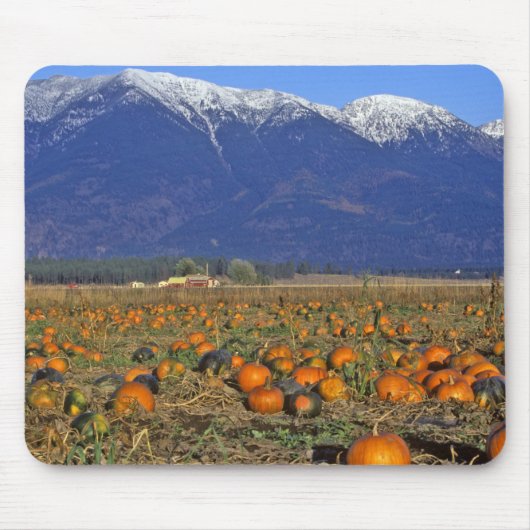 Flathead Valley Montana Pumpkin Patch Mousepad (Vorne)
