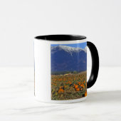 Flathead Valley Montana Pumpkin Patch Tasse (VorderseiteRechts)