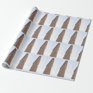 Flatiron-Gebäude Geschenkpapier