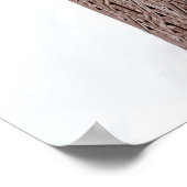 Flatiron-Gebäude Poster (Ecke)