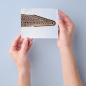 Flatiron-Gebäude-Postkarte Flyer (Gruppe)