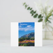 Flatironen und Blume, Boulder Colorado Postkarte (Stehend Vorderseite)