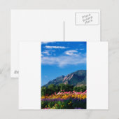 Flatironen und Blume, Boulder Colorado Postkarte (Vorne/Hinten)