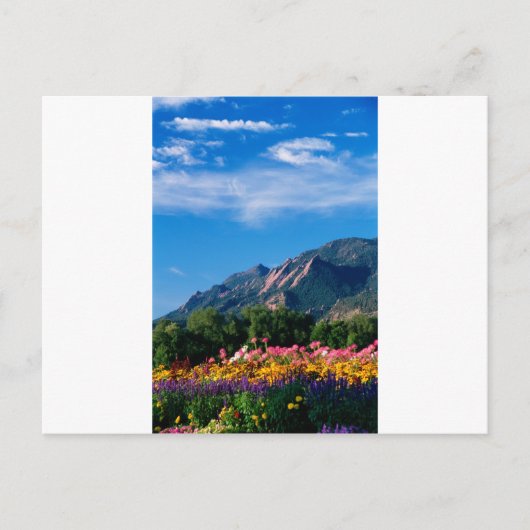 Flatironen und Blume, Boulder Colorado Postkarte (Vorderseite)