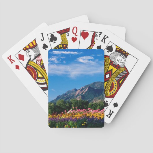 Flatironen und Blume, Boulder Colorado Spielkarten (Rückseite)