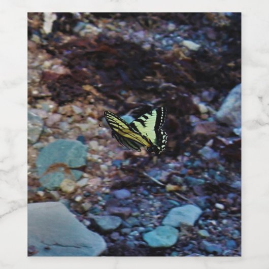 Flattern vorbei weinetikett (Einzelnes Label)