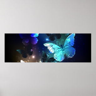 Flatternder Nachtfalter Poster