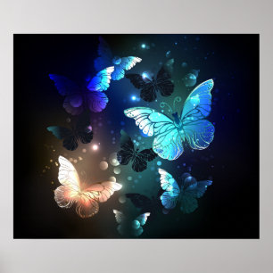 Flatternder Nachtfalter Poster