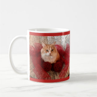 Flaumige Katze und rote Band-Tasse Kaffeetasse