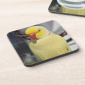 Flaumiger Lutino Inder Ringneck Parakeet Getränkeuntersetzer (Linke Seite)