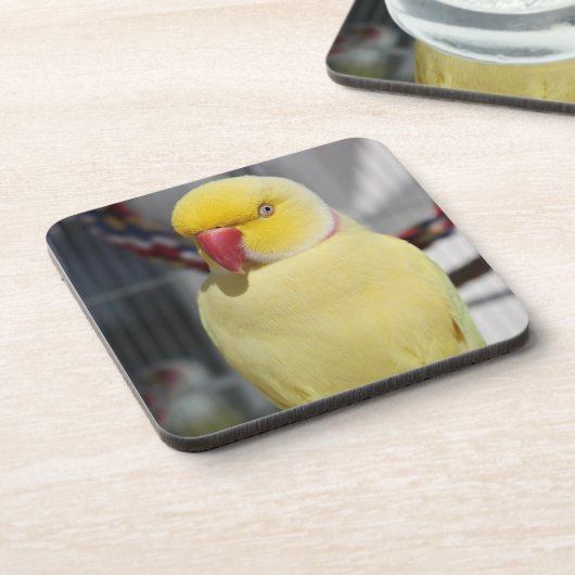 Flaumiger Lutino Inder Ringneck Parakeet Getränkeuntersetzer (Linke Seite)