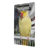Flaumiger Lutino Inder Ringneck Parakeet Mini Klemmbrett (Gewinkelt2)