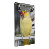 Flaumiger Lutino Inder Ringneck Parakeet Mini Klemmbrett (Schrägansicht)