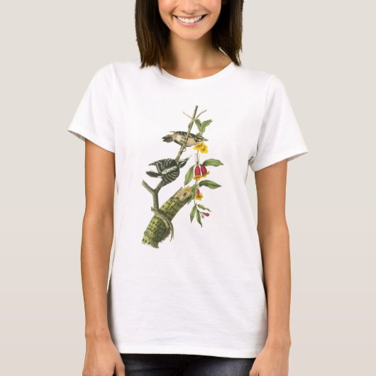 Flaumiger Specht durch Audubon T-Shirt (Vorderseite)