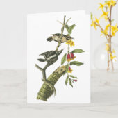 Flaumiger Specht - John Audubon Karte (Gelbe Blume)