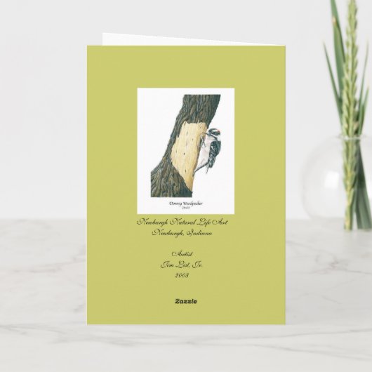 Flaumiger Specht (Mann) Dankeskarte (Rückseite)