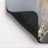 Flaumiger Specht Mousepad (Ecke)