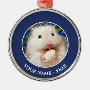 Flaumiger syrischer Hamster Kokolinka, das einen Silbernes Ornament