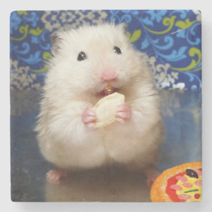 Flaumiger syrischer Hamster Kokolinka, das einen Steinuntersetzer