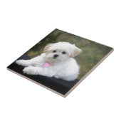Flaumiger weißer Hund Fliese (Seite)