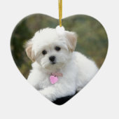 Flaumiger weißer Hund Keramikornament (Vorne)