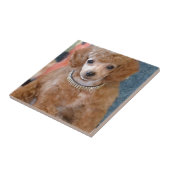 Flaumiges Aprikosen-Pudel-Hündchen Fliese (Seite)