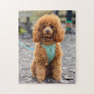 Flauschig-Brauner-Pfropfhund Puzzle