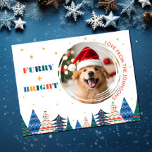 Flauschig & Hell Cute Hundefoto