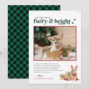 Flauschig & Hell Weihnachtskarte für Haustiere Einladung