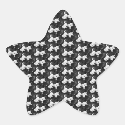 Flauschig-Sternaufkleber Stern-Aufkleber (Vorderseite)