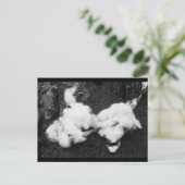 Flauschig Urlaub Postkarte (Stehend Vorderseite)