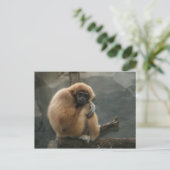 Flauschig weißer Glattleder Postkarte (Stehend Vorderseite)