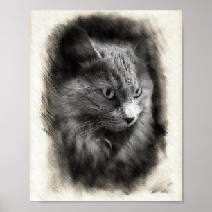 Flauschige graue Katzenskizze - Weiche Katzenportr Poster